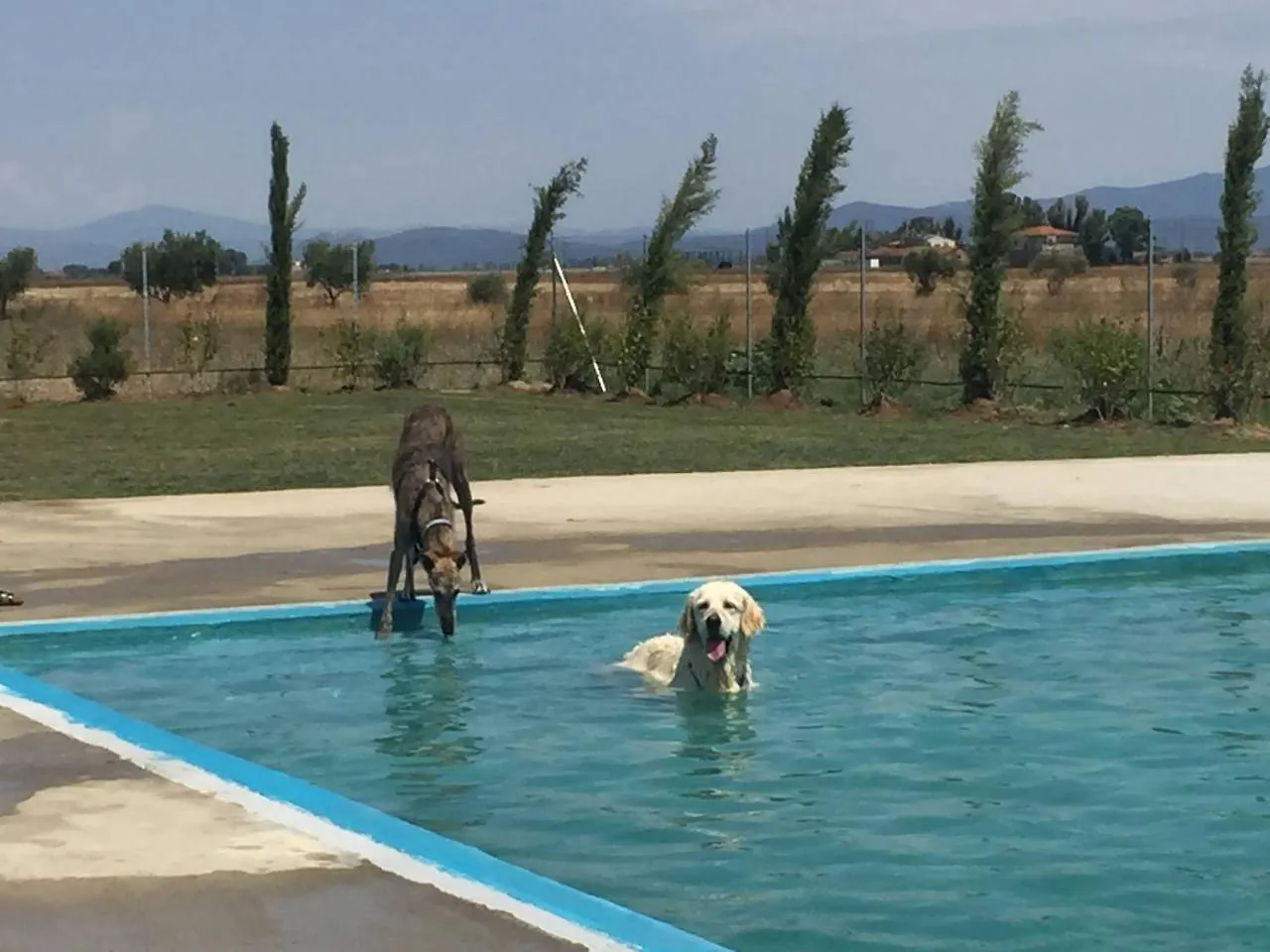 Fattoria Maremmana Aparthotel Marina di Grosseto Italy